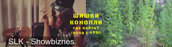 амф Дмитриев