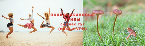 мескалин Дмитров