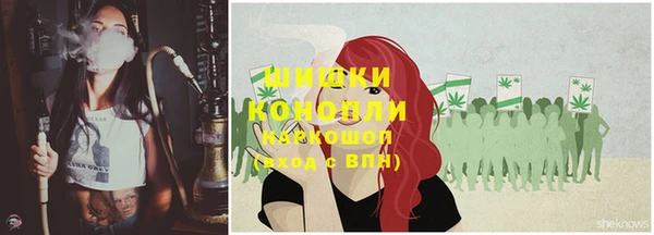 амф Дмитриев