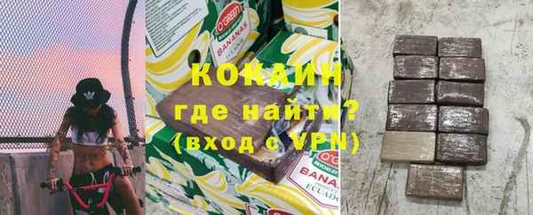 амф Дмитриев