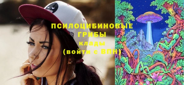 амф Дмитриев