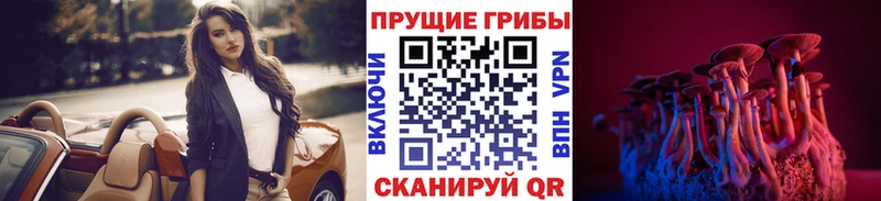 Купить  Троицк  Галлюциногенные грибы мицелий 